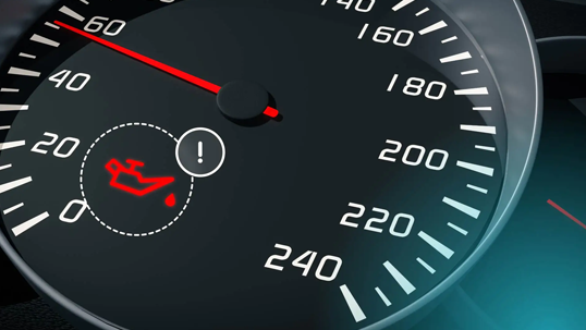 Check Engine Delovi Check Engine Delovi